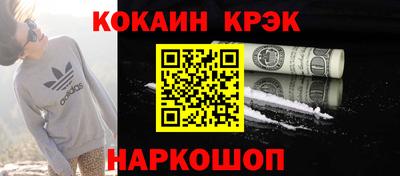 крисы Краснодар