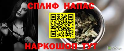 сатива Краснокаменск
