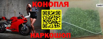 сатива Краснокаменск