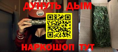 крисы Краснодар