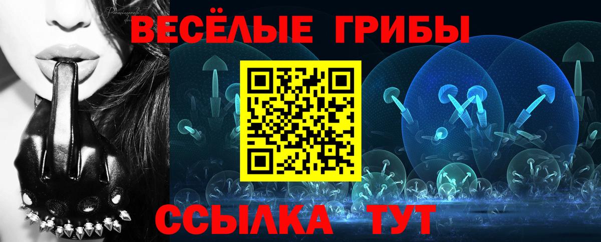 Псилоцибиновые грибы мицелий Кинель