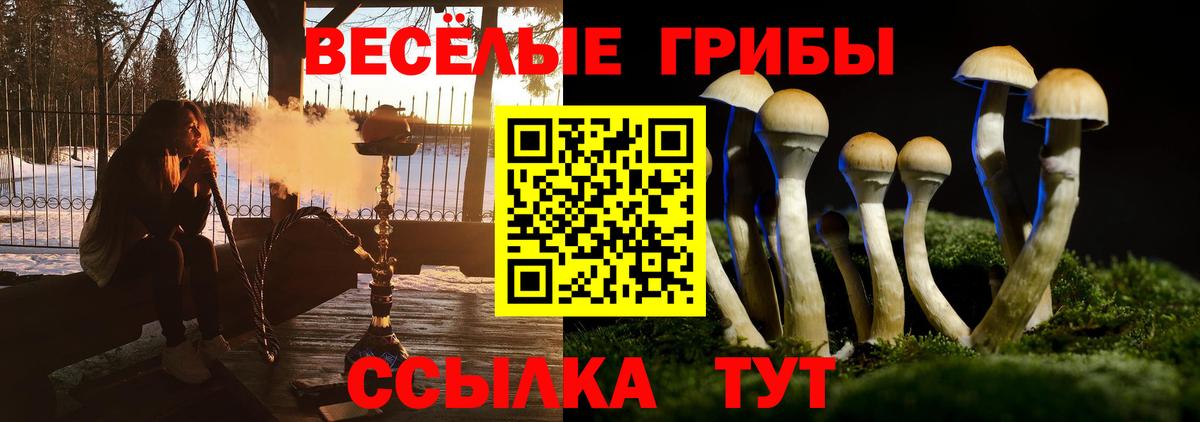 Псилоцибиновые грибы прущие грибы  Вход с VPN  Галлюциногенные грибы мицелий  где купить   Кинель 
